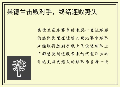 桑德兰击败对手，终结连败势头